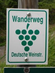 Wanderung_Pfalz_001