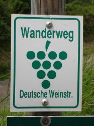 Wanderung_Pfalz_001