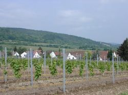Wanderung_Pfalz_072