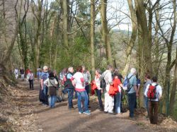 2015.04.10-AGS-Blütenwanderung-Pfalz-P1010916-Nr.010