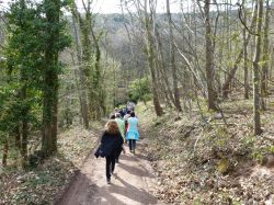 2015.04.10-AGS-Blütenwanderung-Pfalz-P1010922-Nr.012