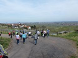 2015.04.10-AGS-Blütenwanderung-Pfalz-P1010931-Nr.015