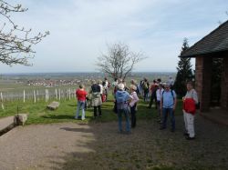 2015.04.10-AGS-Blütenwanderung-Pfalz-P1010938-Nr.017