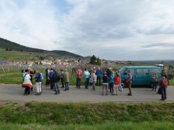 2015.04.11-AGS-Blütenwanderung-Pfalz-P1010978-Nr.035