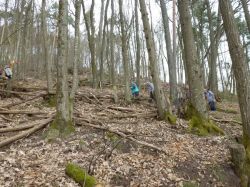 2015.04.12-AGS-Blütenwanderung-Pfalz-P1020039-Nr.067