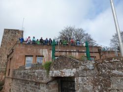 2015.04.12-AGS-Blütenwanderung-Pfalz-P1020041-Nr.068