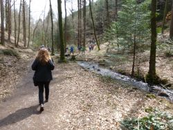 2015.04.12-AGS-Blütenwanderung-Pfalz-P1020060-Nr.077