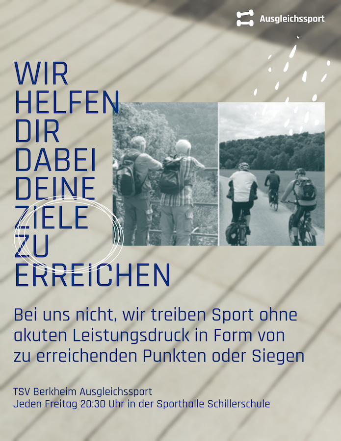 AGS Werbung web