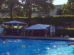 int.-schwimmfest-berkheim-17-050