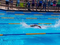 int.-schwimmfest-berkheim-17-343